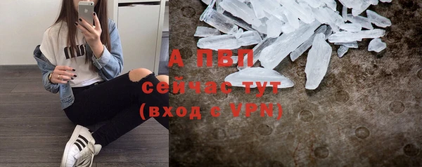 герыч Пересвет